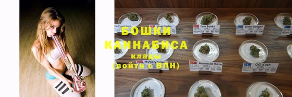 хмурый Арсеньев
