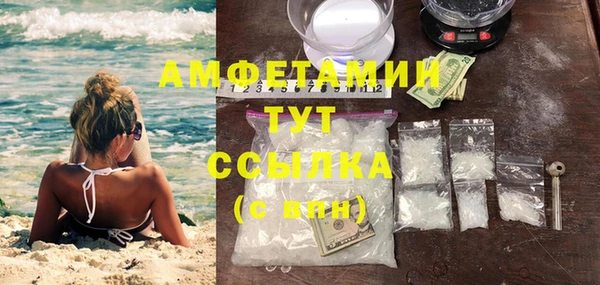 хмурый Арсеньев