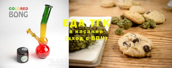 хмурый Арсеньев