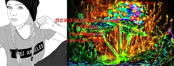 хмурый Арсеньев