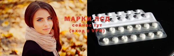 хмурый Арсеньев