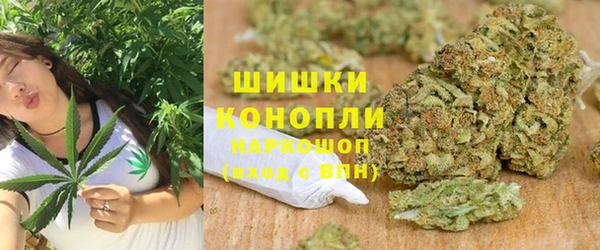 хмурый Арсеньев