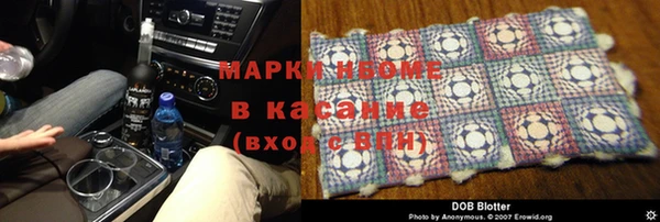хмурый Арсеньев