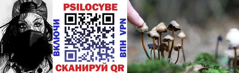 Псилоцибиновые грибы MAGIC MUSHROOMS  наркота  Заозёрск 